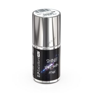 Excellent Pro Shine! Stay With Me! – Dust Sealer